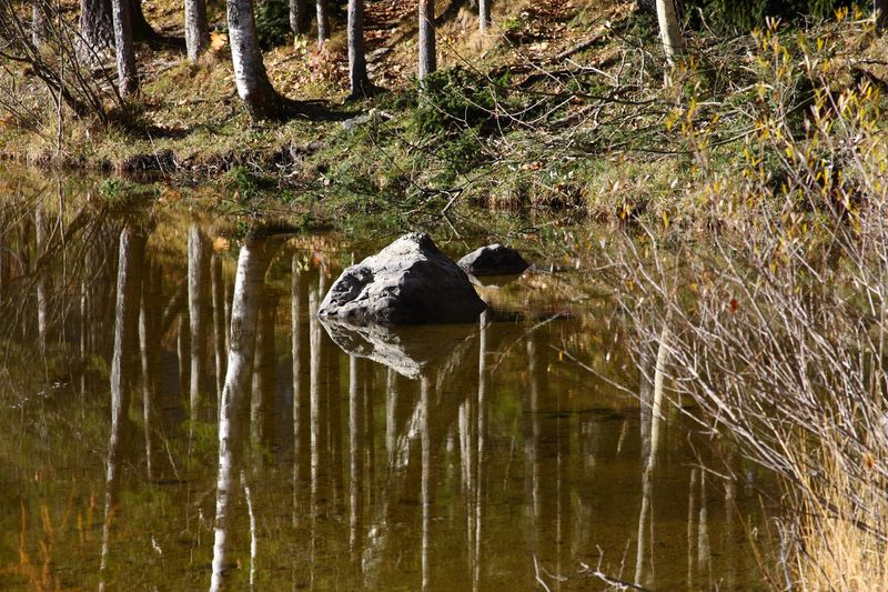 Datei:Ödensee 78066 2014-11-03.jpg