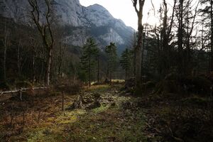 Altaussee seewiese 79071 2014-11-15.jpg