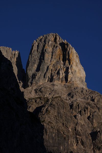 Datei:Bischofsmütze 36799 2011-09-11.jpg