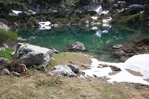 Dreibrüdersee 77416 2018-06-04.jpg