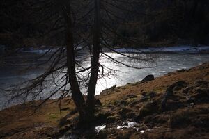 Duisitzkarsee 14306 2011-11-30.jpg