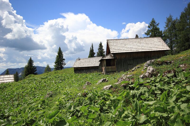 Datei:Gößlalm 77618 2018-06-04.jpg