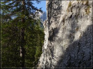 Gofergraben ( 13.04.24 ) 030.jpg