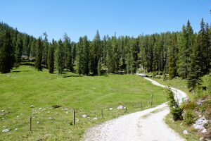 Große wiesmahd-0266-2022-06-12.jpg