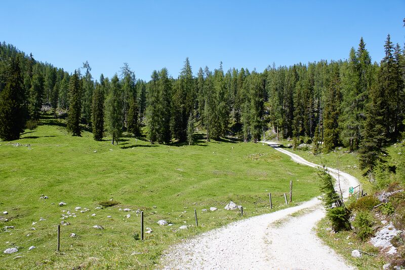 Datei:Große wiesmahd-0266-2022-06-12.jpg