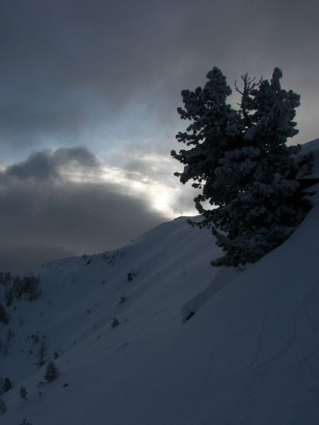 Datei:Guschen 46881 2006-02-27.jpg