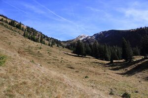 Horningalm oppenberg 61659 2017-10-11.jpg