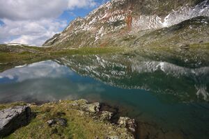 Knappensee westliche-38-2011-07-27.jpg