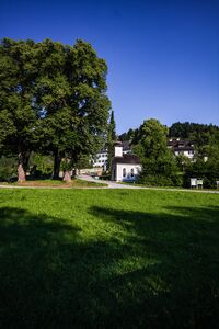 ND 786 vier Linden Gstatt-59-2012-06-17.jpg