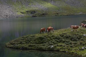 Oberer lanschitzsee 98150 2011-08-12.jpg
