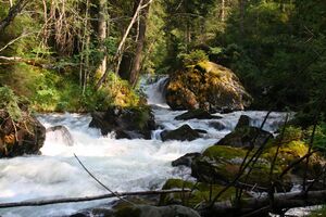Obertalbach 7861 2008-07-30.jpg
