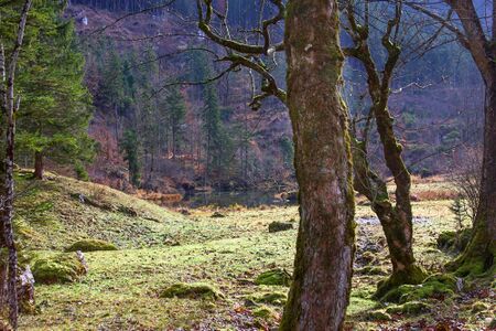 Ostersee Altaussee 79107 2014-11-15.jpg