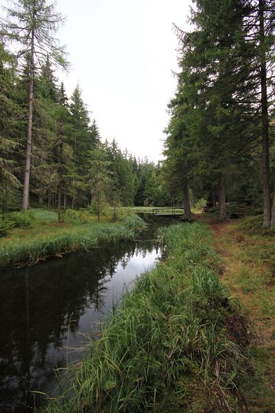 Datei:Salleitnerteich Oberhausberg 57589 2017-09-15.jpg