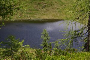 Schobersee 93154 2015-06-26.jpg