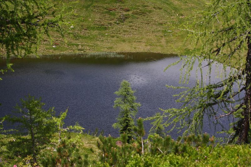 Datei:Schobersee 93154 2015-06-26.jpg