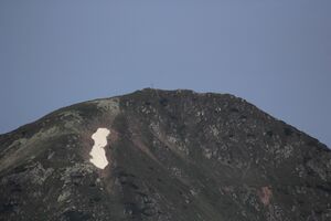 Seekoppe -sommereck 78146 2018-06-11.jpg