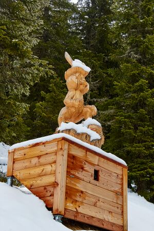 Waldwegerl planai-0049-2023-05-19.jpg