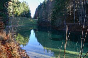 Almseeteich burgstaller 13951 2015-11-12.jpg