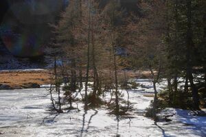 Duisitzkarsee 14341 2011-11-30.jpg