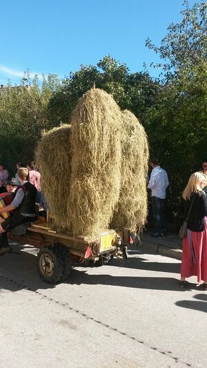 Erntedankfest irdning h.schwab7.jpg