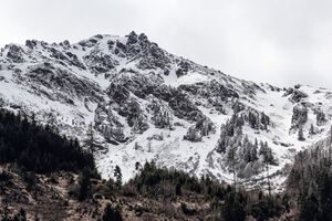 Farmrieseck -riesach 60078 2017-04-17.jpg