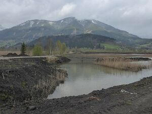 Frauenberger Torfstich070275.JPG