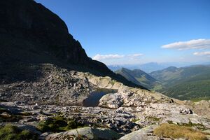 Goldlacken 0383 2008-08-12.jpg