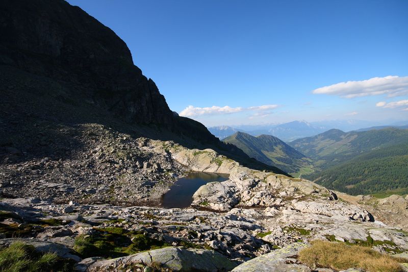 Datei:Goldlacken 0383 2008-08-12.jpg