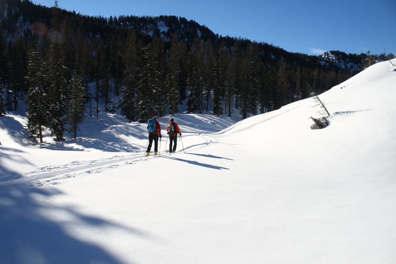 Datei:Große wiesmahd 97970 2015-01-13.jpg