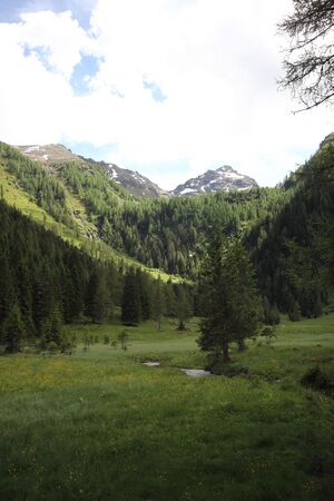 Gumpental 49547 2017-06-09.jpg