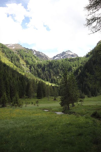 Datei:Gumpental 49547 2017-06-09.jpg