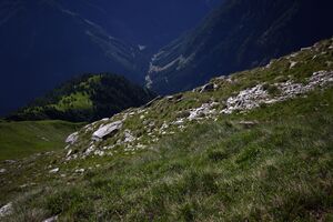Hopfgarteneben klockalm 57780 2015-07-11.jpg