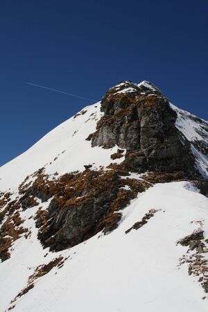 Kübel -hw pietrach 03415 2008-04-14.jpg