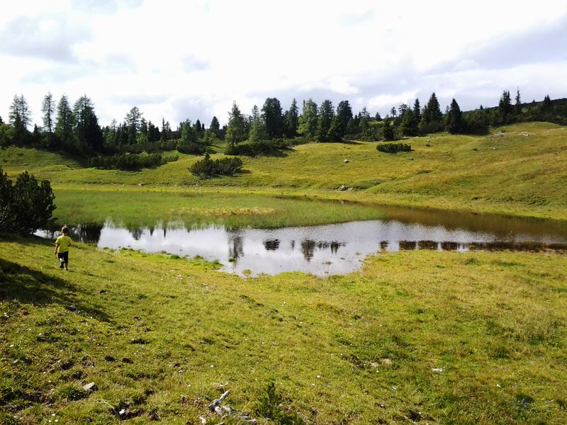 Datei:Karstfläche Kirchfeld 1.jpg