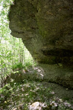 ND 356 Teichenbach Unterkainisch-0259-2025-05-01.jpg