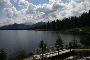 Speicherteich Reiteralmsee 65711 2014-06-27.jpg