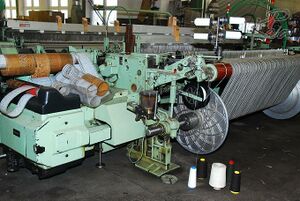 Steiner1888 Wollwelt 06.jpg