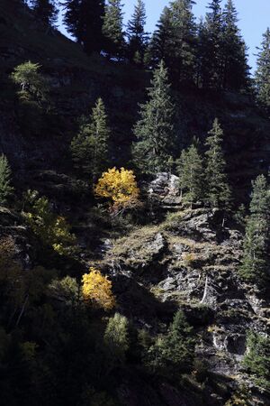 Steinriesental labererboden 59633 2017-10-02.jpg