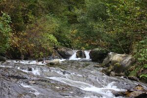 Teufelsschlucht Seewigtal 73453 2014-10-02.jpg