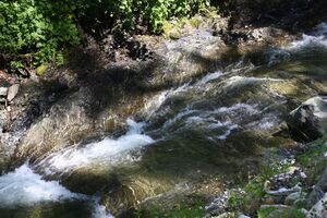 Walchenbach 66067 2014-07-01.jpg