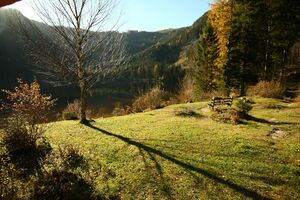 Ödensee 77914 2014-11-03.jpg