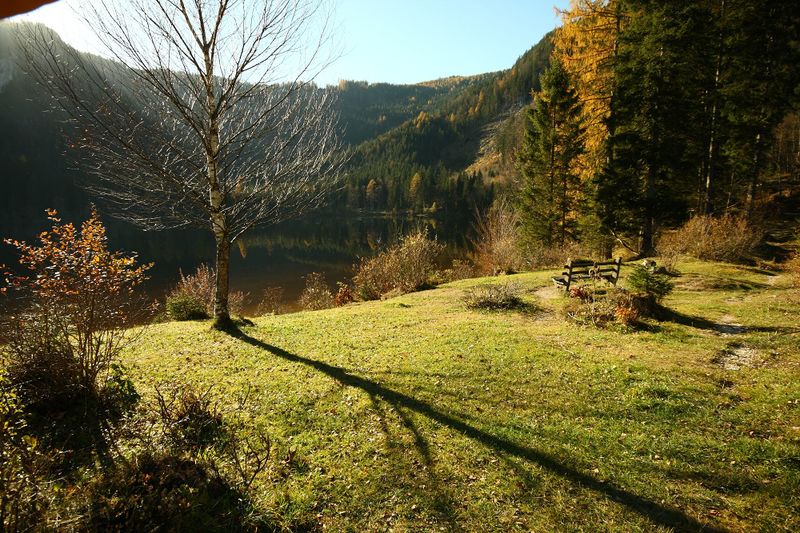 Datei:Ödensee 77914 2014-11-03.jpg