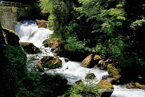 2025 06 22 Schladming Talbachklamm Wanderung 41.jpg