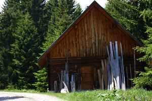 Bliemkaralm 90201 2015-06-08.jpg