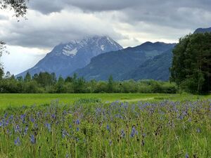 Ennsau Fischern1120650.JPG