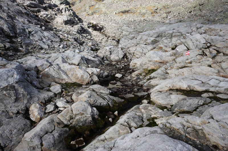 Datei:Goldlacken 0235 2013-10-08.jpg