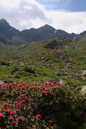 Herzmaierkar 32521 2011-07-06.jpg