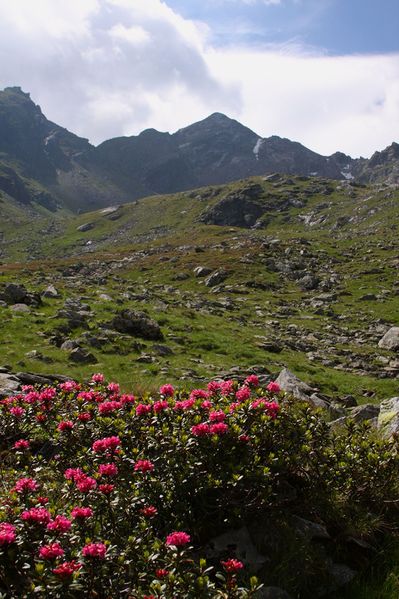 Datei:Herzmaierkar 32521 2011-07-06.jpg