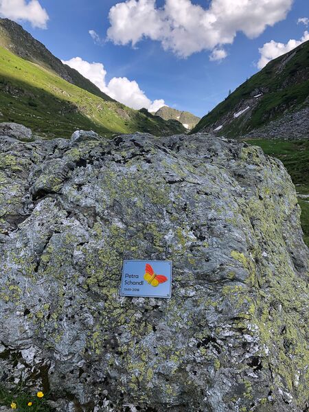 Datei:MA petra schandl-3103-2021-06-27.jpg