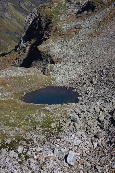 Datei:Nördliche krukecklacke 02087 2015-09-13.jpg